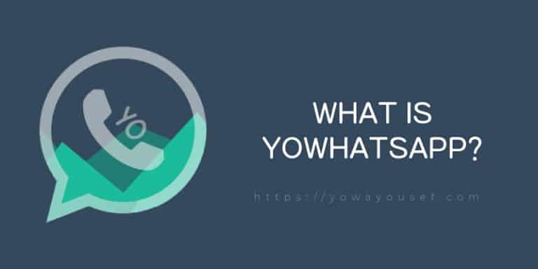 what-is-yowhatsapp