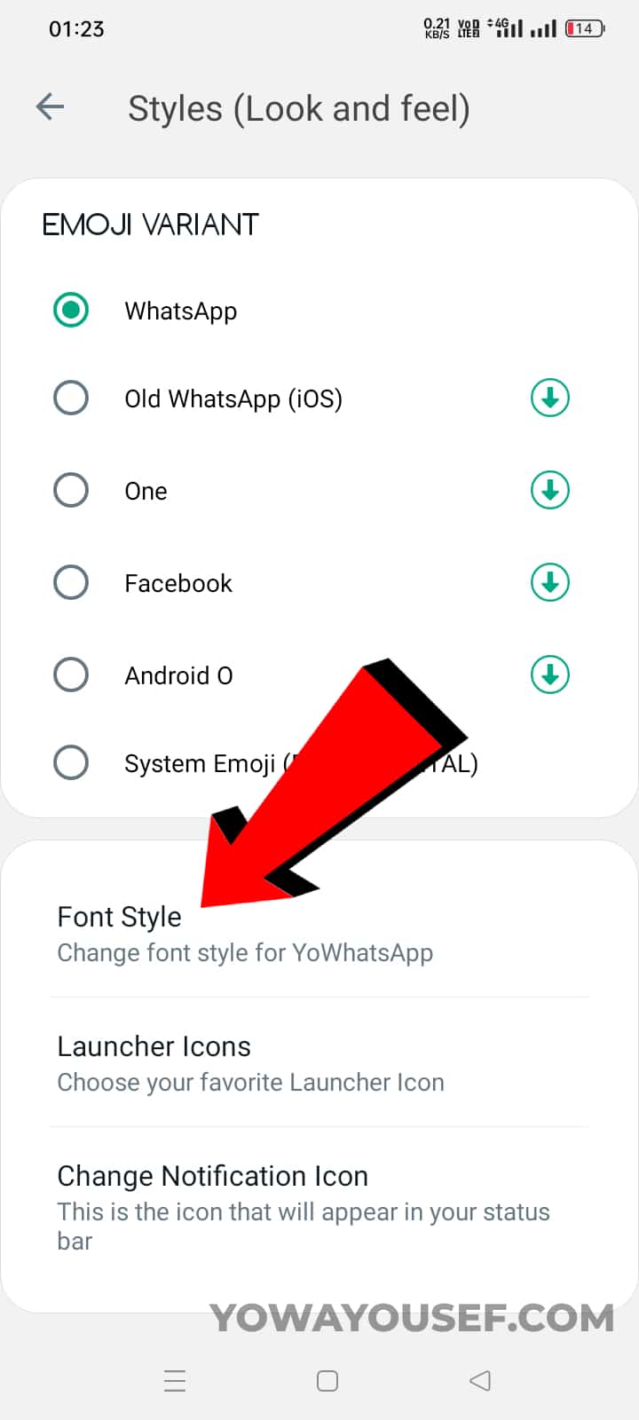 Look and Feel Styles Settings in YoWhatsApp